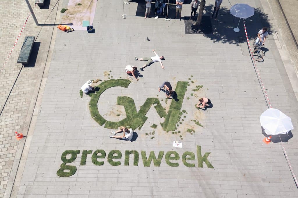 utilisations créatives du gazon synthétique